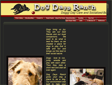 Tablet Screenshot of dogdaysranchsd.com